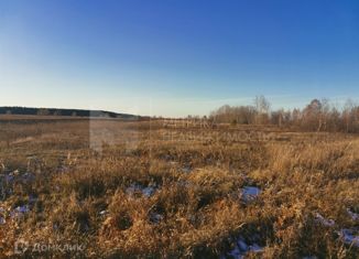 Участок на продажу, 10 сот., село Салаирка