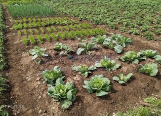 Земельный участок на продажу, 12 сот., Шумерля, Колхозная улица, 45