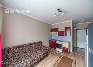 Квартира в аренду студия, 19 м2, Москва, улица Вертолётчиков, 4, район Некрасовка