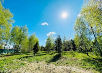 Продается участок, 7 сот., деревня Петушки, деревня Петушки, 1