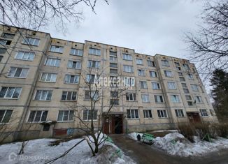 2-комнатная квартира на продажу, 51.7 м2, Ленинградская область, Центральная улица, 10