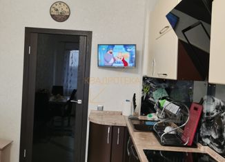 Продается 2-ком. квартира, 56.2 м2, Новосибирск, 1-я Чулымская улица, 112/3, 1-я Чулымская улица