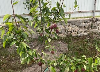 Продается дом, 157.4 м2, станица Нижнебаканская, улица Чкалова, 100В