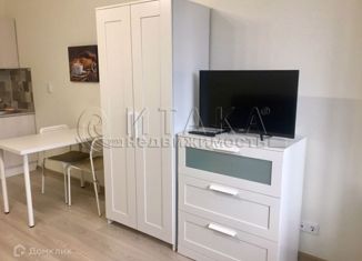 Квартира в аренду студия, 23.3 м2, Мурино, Екатерининская улица, 22к2