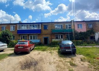 Продается однокомнатная квартира, 30 м2, село Сосновка, Заречная улица, 7