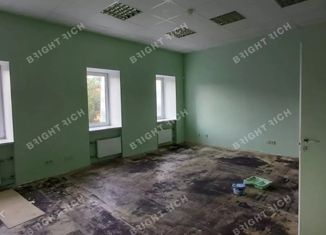 Продам офис, 250 м2, Санкт-Петербург, Каменноостровский проспект, 11, муниципальный округ Посадский
