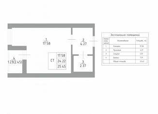 Продается квартира студия, 24.22 м2, Ленинградская область, улица Шувалова, 33/35