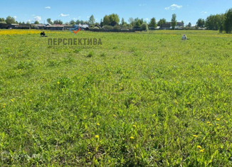 Земельный участок на продажу, 11.2 сот., деревня Ошурга, Светлая улица, 23