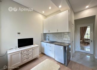 Сдаю в аренду квартиру студию, 16 м2, Москва, Смоленский бульвар, 24с2, метро Парк культуры