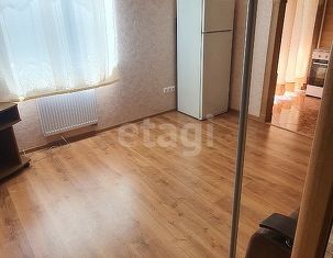 1-комнатная квартира на продажу, 23.7 м2, посёлок Голубево, Изумрудная улица, 14