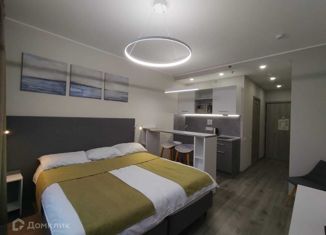 Продаю квартиру студию, 23.6 м2, Санкт-Петербург, Витебский проспект, 101к1, метро Купчино