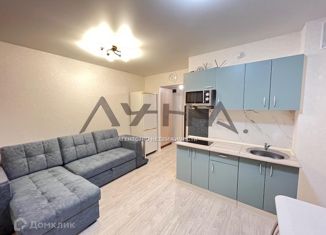 Сдаю квартиру студию, 24 м2, Татарстан, улица Раскольникова, 7