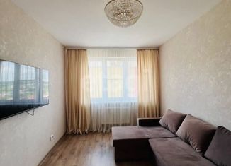 Сдам в аренду 1-ком. квартиру, 33 м2, Нижний Новгород, улица Романтиков, 12, улица Романтиков