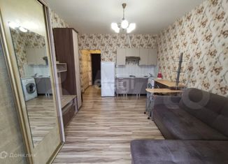 Сдаю в аренду квартиру студию, 25 м2, Пермь, Теплогорская улица, 22, ЖК Хорошее Место