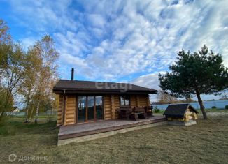 Продаю дом, 50 м2, деревня Бородино