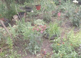 Продается дом, 40 м2, посёлок Опытный, Центральная улица