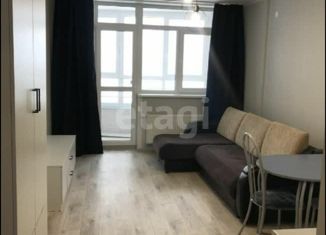 Сдается квартира студия, 24 м2, Пермь, Муромская улица, 24А, Свердловский район