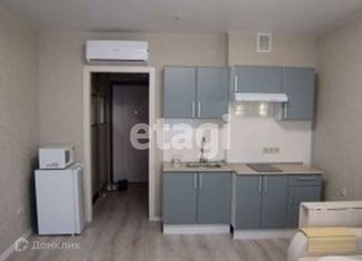 Сдача в аренду квартиры студии, 25 м2, Новосибирск, Железнодорожная улица, 15/1, метро Гагаринская