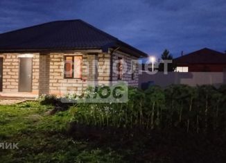 Продаю дом, 63 м2, деревня Кырныш, Жасминная улица, 58