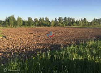 Продаю участок, 24 сот., село Васильевское