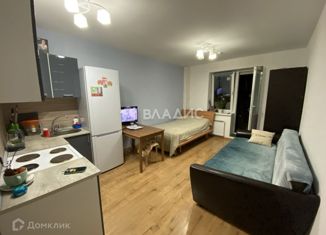 Продается квартира студия, 24.2 м2, Санкт-Петербург, Славянская улица, 28, Славянская улица