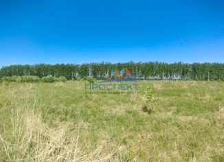 Продам земельный участок, 25 сот., село Богословское