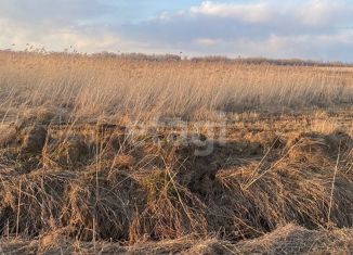 Продается участок, 260 сот., Тополевское сельское поселение