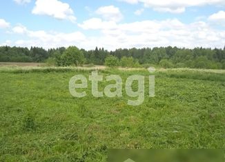 Продажа земельного участка, 10 сот., деревня Камешник