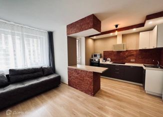 Сдача в аренду квартиры студии, 29.5 м2, деревня Кудрово, Пражская улица, 12