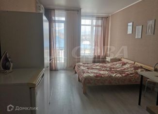 Квартира на продажу студия, 27 м2, село Весёлое, Коломенский переулок, 5