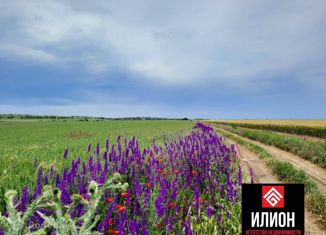 Земельный участок на продажу, 860 сот., село Береговое, Центральная улица, 25