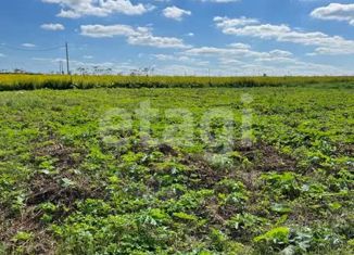 Продам участок, 12 сот., село Гремячее, улица Новики