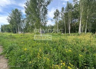 Земельный участок на продажу, 8 сот., деревня Соловеново