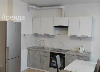 Квартира в аренду студия, 31 м2, посёлок Молодёжное