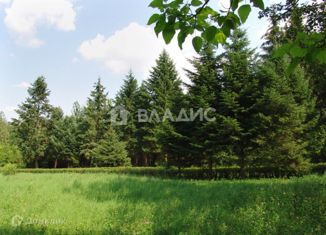 Продается земельный участок, 25 сот., деревня Черемисское, деревня Черемисское, 53