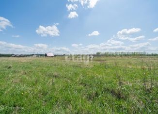 Продаю земельный участок, 10 сот., деревня Большакино