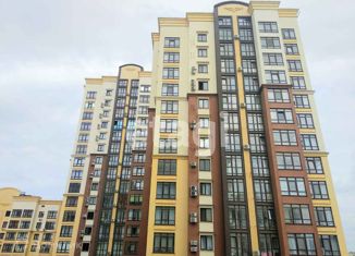 Сдается в аренду 2-ком. квартира, 63 м2, село Мирное, улица Крымской Весны, 1к1