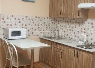 Сдача в аренду квартиры студии, 22 м2, село Каменка, микрорайон Олимпийской славы, 2