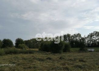 Продаю земельный участок, 20 сот., село Нижние Прыски