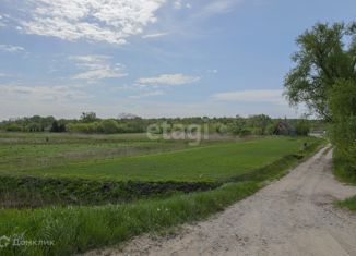 Продается участок, 250 сот., поселок Красное, Куршская улица