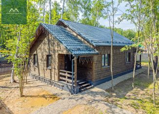 Продается дом, 80 м2, деревня Становое, деревня Становое, 78/1