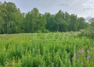 Продажа земельного участка, 13.7 сот., деревня Молчанова, Озёрная улица, 18