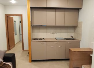 Продается квартира студия, 23 м2, Мурино, улица Шувалова, 14, ЖК Созвездие