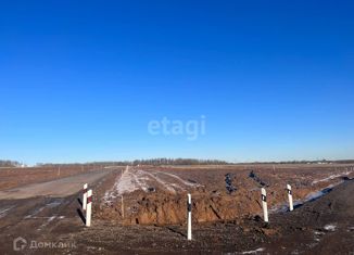 Продажа участка, 6 сот., деревня Канищево