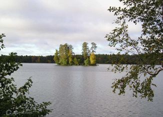 Продаю земельный участок, 952 сот., посёлок Таир, Школьная улица