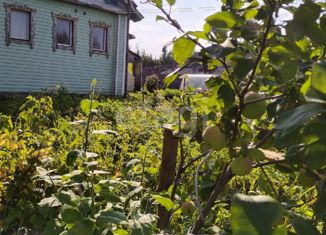 Продаю дом, 32.8 м2, поселок Савватия, Центральная улица