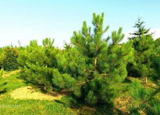 Продается участок, 6.5 сот., посёлок Гагарский, 1-я Парковая улица