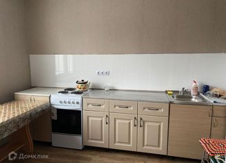 Аренда 1-ком. квартиры, 40 м2, Саратовская область, улица имени Виктора Аржаного, 8