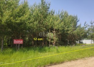 Участок на продажу, 12 сот., деревня Шопино