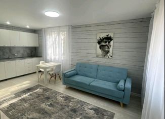 Продается дом, 36 м2, СНТ Лесная сказка, 16-я улица